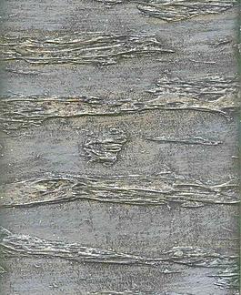 4051_墻面_噴涂凹凸