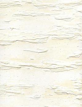 5339_墻面_噴涂凹凸