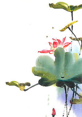 位圖 植物圖案 寫意花卉 花朵 超高清 免費(fèi)素材