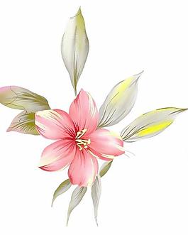 韓國(guó)PSD精美花紋矢量背景模版319