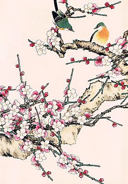 位圖 植物圖案 寫意花卉 花朵 超高清 免費素材