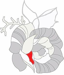 韓國(guó)PSD精美花紋矢量背景模版313
