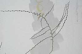 57765_墻面_墻面磚
