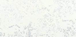 13244_墻面_水彩墻面