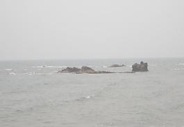 大海圖片
