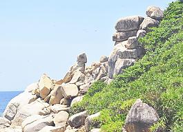 蜈支洲岛图片