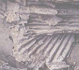 31978_墻面_效果墻面