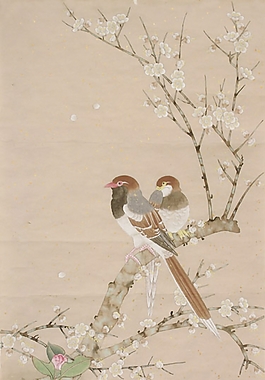 位圖 植物圖案 寫(xiě)意花卉 花朵 牡丹 免費(fèi)素材