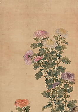位圖 植物圖案 寫意花卉 花朵 超高清 免費(fèi)素材