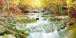 山水
