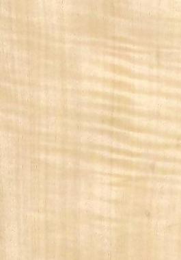 54307_自然材質(zhì)_木皮