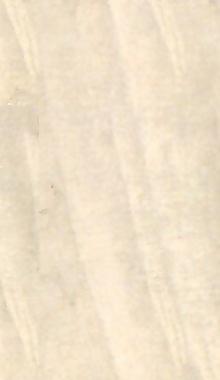 54363_自然材質(zhì)_木皮