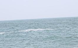 大海图片