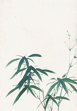 位圖 植物圖案 寫意花卉 花朵 超高清 免費素材