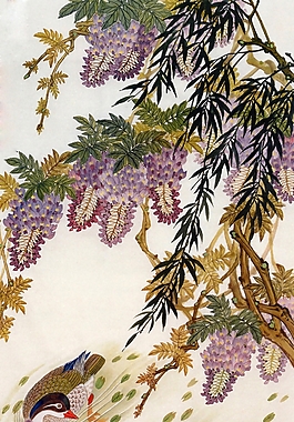 位圖 植物圖案 寫意花卉 花朵 動物 免費素材