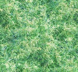 31845_自然材质_草地