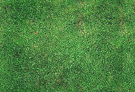 45072_自然材质_草地