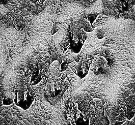 30462_自然材质_冰雪