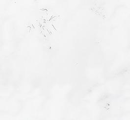 30463_自然材質(zhì)_冰雪