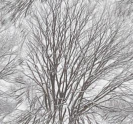 30466_自然材質(zhì)_冰雪