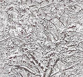30475_自然材質(zhì)_冰雪