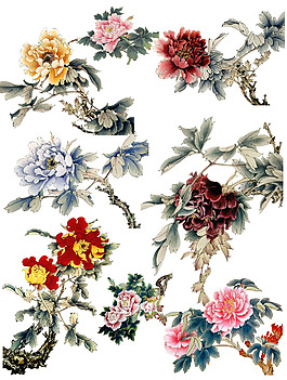 位圖 植物圖案 寫意花卉 花朵 牡丹 免費(fèi)素材