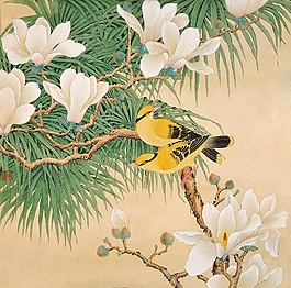位圖 植物圖案 寫意花卉 花朵 動物 免費(fèi)素材