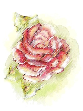 五顏六色的花卉背景矢量插畫