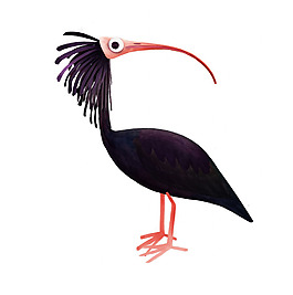 位圖 動(dòng)物 鳥(niǎo) 免費(fèi)素材
