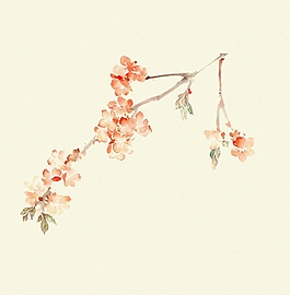 位圖 植物圖案 寫意花卉 花朵 梅花 免費素材