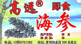 海參圖片