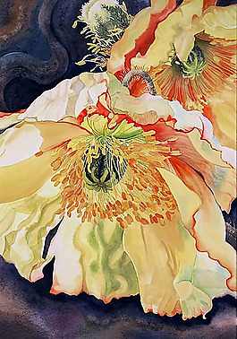 位图 植物图案 写意花卉 花朵 免费素材