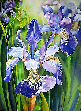 位圖 植物圖案 寫意花卉 花朵 鳶尾花 免費素材