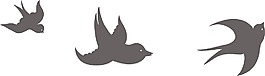 鳥類矢量