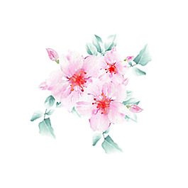 位圖 psd 花朵 牡丹 家紡 免費(fèi)素材