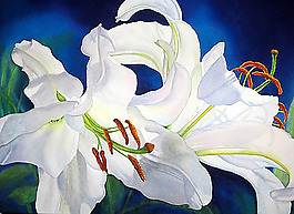 位圖 植物圖案 寫(xiě)意花卉 花朵 免費(fèi)素材