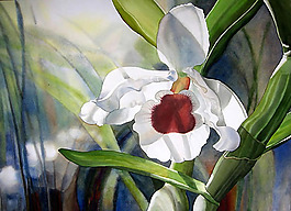 位圖 植物圖案 寫(xiě)意花卉 花朵 免費(fèi)素材