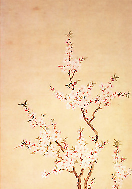 位圖 植物圖案 寫意花卉 花朵 超高清 免費素材