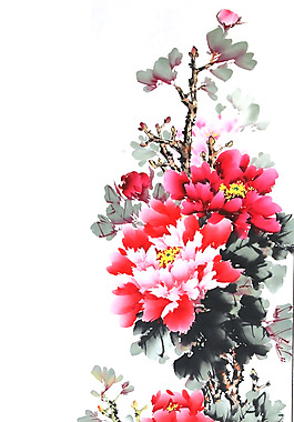 位圖 植物圖案 寫意花卉 花朵 超高清 免費(fèi)素材