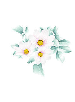 位圖 psd 花朵 菊花 家紡 免費(fèi)素材