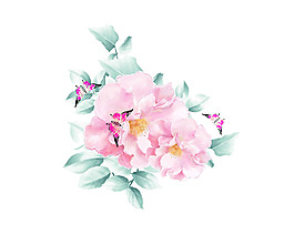 位圖 psd 花朵 牡丹 動(dòng)物 免費(fèi)素材