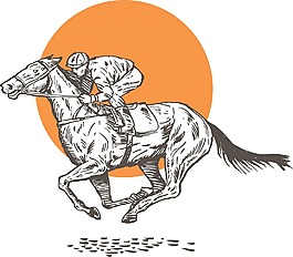 马和骑师的赛马