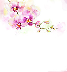 位圖 植物圖案 寫意花卉 花朵 免費(fèi)素材