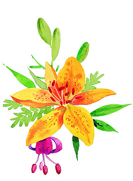 位圖 植物圖案 寫意花卉 花朵 免費素材