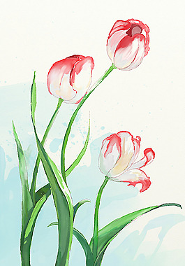位圖 植物圖案 寫意花卉 花朵 超高清 免費素材