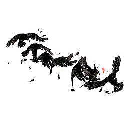 位圖 動物 鳥 羽毛 免費素材