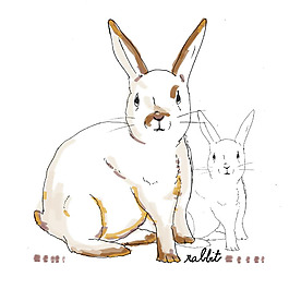 位圖 藝術(shù)效果 手繪 動物 兔子 免費素材
