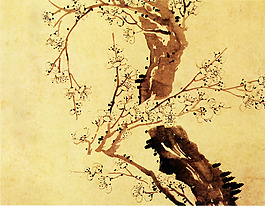 位圖 植物圖案 寫意花卉 花朵 超高清 免費素材