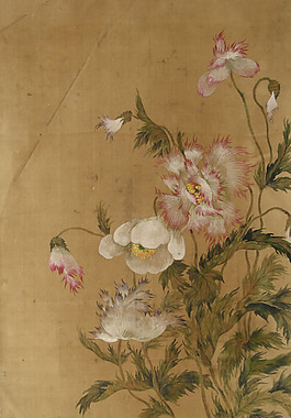 位圖 植物圖案 寫(xiě)意花卉 花朵 超高清 免費(fèi)素材