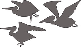 鳥類矢量